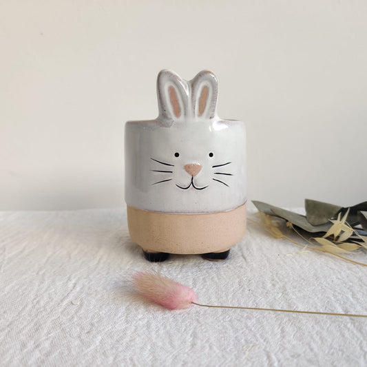 Maceta de conejo